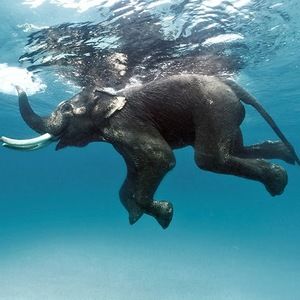 Meet your Posher, Eden